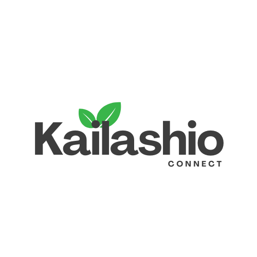 Kailashio Connect Logo